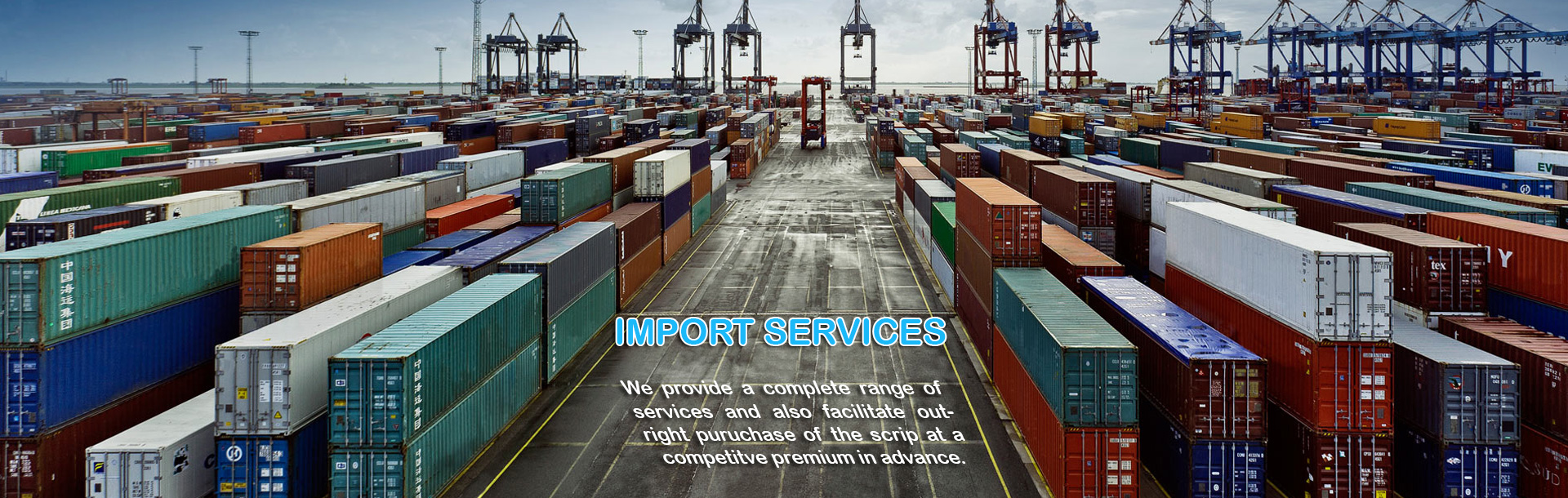 Import Export Incentive Consultant